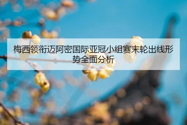 mei-xi-ling-xian-mai-a-mi-guo-ji-ya-guan-xiao-zu-sai-mo-lun-chu-xian-xing-shi-quan-mian-fen-xi-2-252.jpg