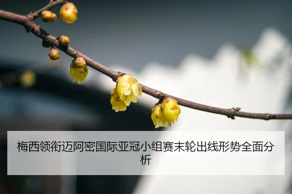 mei-xi-ling-xian-mai-a-mi-guo-ji-ya-guan-xiao-zu-sai-mo-lun-chu-xian-xing-shi-quan-mian-fen-xi-3-810.jpg