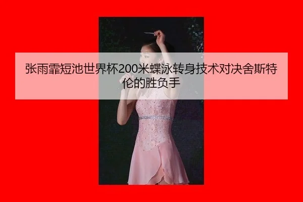 zhang-yu-fei-duan-chi-shi-jie-bei-mi-die-yong-zhuan-shen-ji-shu-dui-jue-she-si-te-lun-de-sheng-fu-shou-2-701.jpg