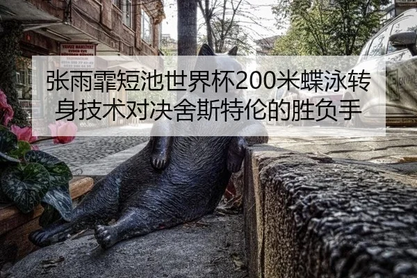 张雨霏短池世界杯200米蝶泳转身技术对决舍斯特伦的胜负手