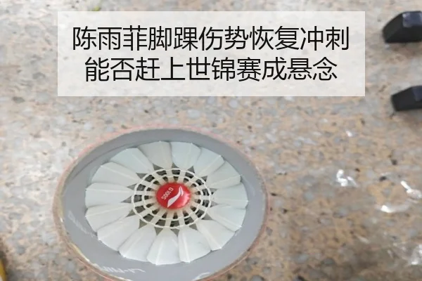 陈雨菲脚踝伤势恢复冲刺 能否赶上世锦赛成悬念