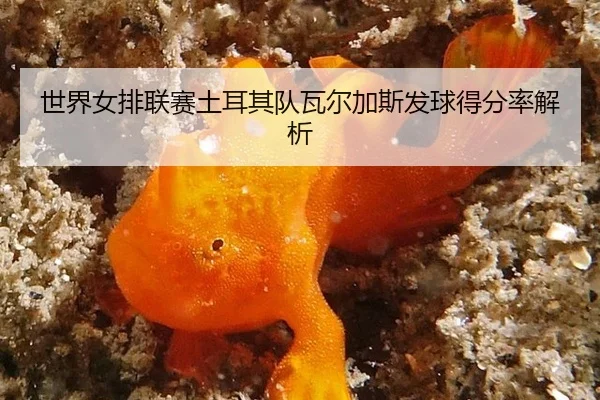 shi-jie-nv-pai-lian-sai-tu-er-qi-dui-wa-er-jia-si-fa-qiu-de-fen-lv-jie-xi-2-711.jpg