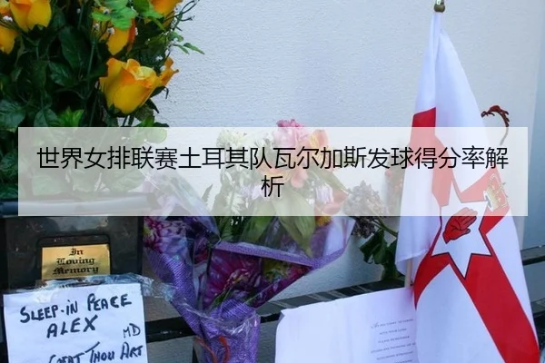 世界女排联赛土耳其队瓦尔加斯发球得分率解析